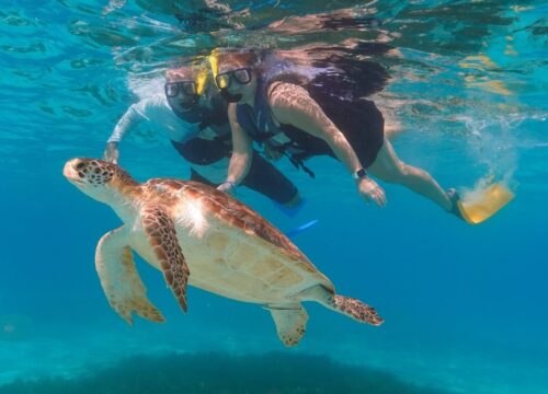 What to Expect on a Barbados Snorkeling Cruise